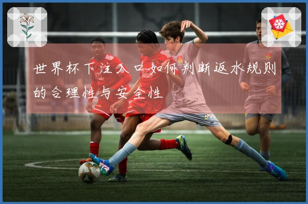 世界杯下注入口如何判断返水规则的合理性与安全性