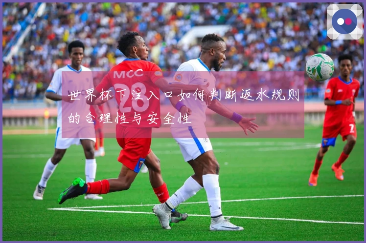 世界杯下注入口如何判断返水规则的合理性与安全性