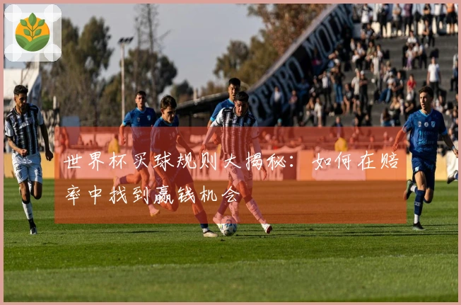 世界杯买球规则大揭秘：如何在赔率中找到赢钱机会