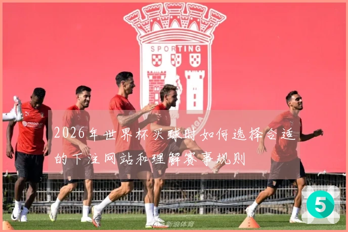2026年世界杯买球时如何选择合适的下注网站和理解赛事规则