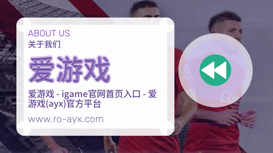 关于 爱游戏
